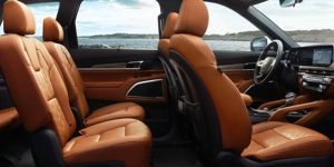 2025 Telluride Interior Temple Hills, MD 