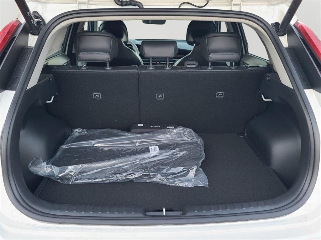 2025 Kia Niro EV Wave